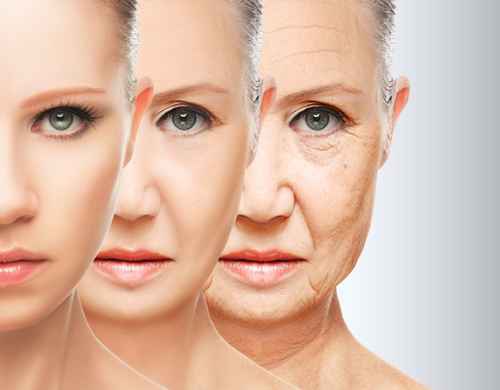 Guia Completo sobre Climatério e Menopausa